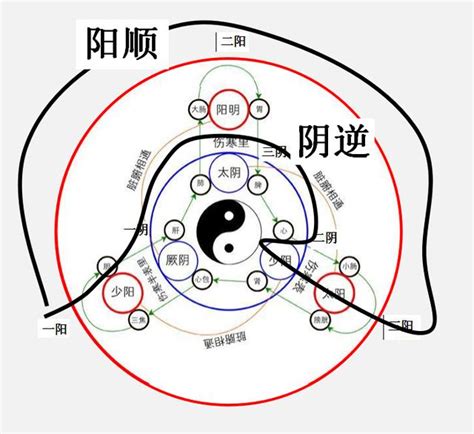 一陰一陽|一陰一陽と三陰三陽